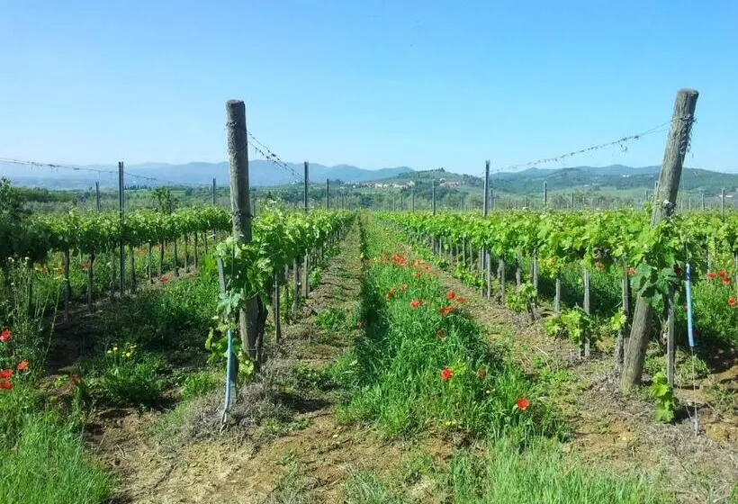 La Favilletta Casa Vacanze