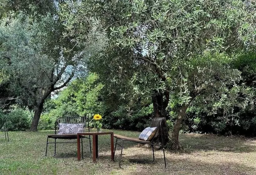 B&b Lo Scudaio Palazzo Marchionneschi