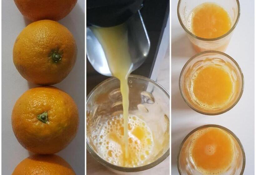 بنسيون Charmante Maison D Hôtes Avec Piscine, Jardin Et Proximité Circuit Des 24h   Le Mans   Fr 1 410 405