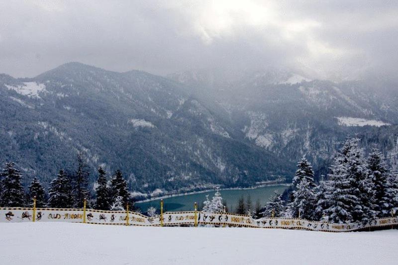 ホテル Bed & Breakfast Der Tiroler