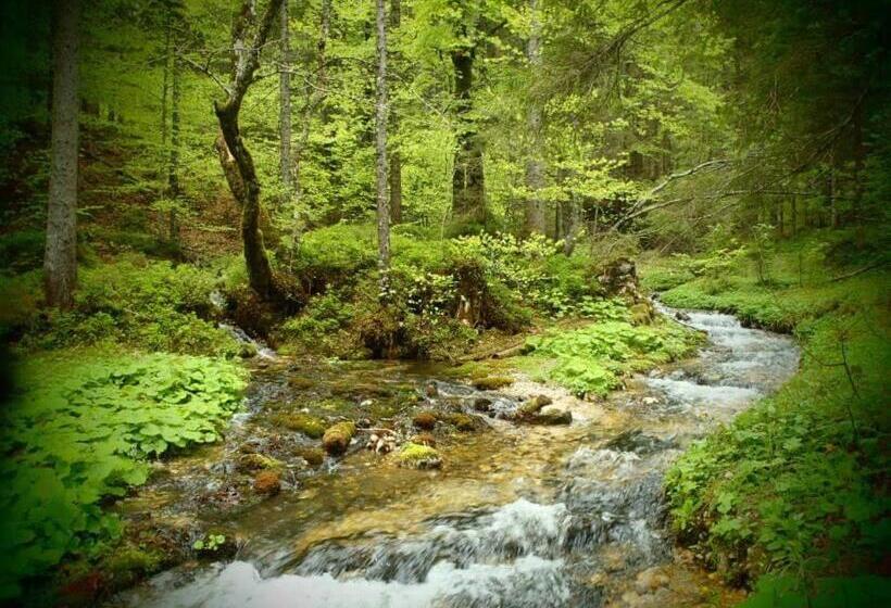 ホテル Bed & Breakfast Der Tiroler