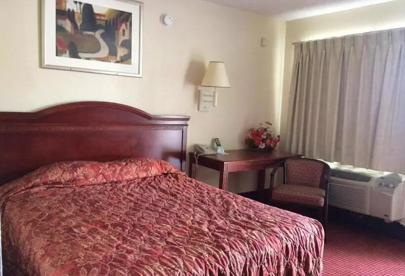 Hotelli Carpet Inn