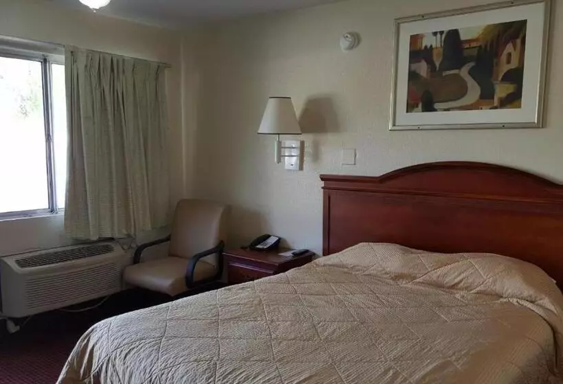 Hotelli Carpet Inn