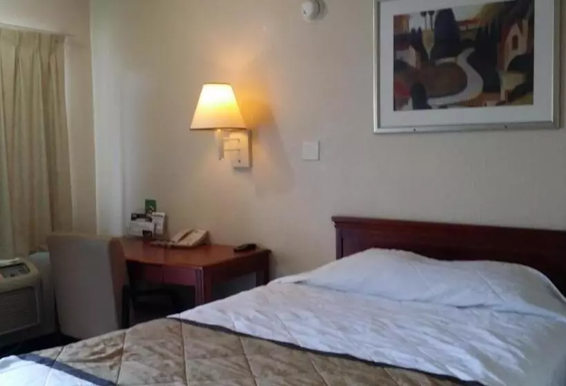 Hotelli Carpet Inn