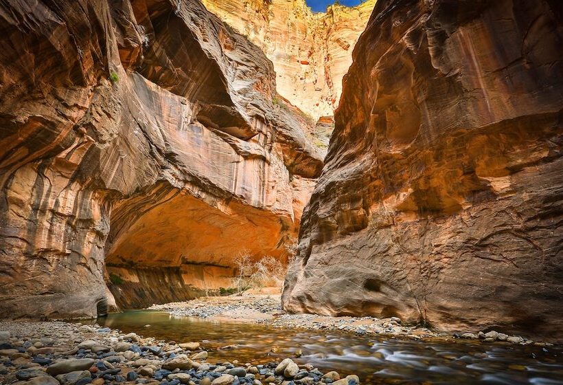 בית מלון כפרי Desert Pearl Inn