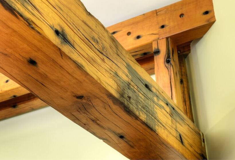 בית מלון כפרי Desert Pearl Inn