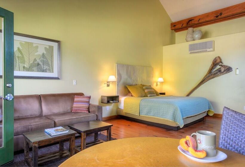 בית מלון כפרי Desert Pearl Inn