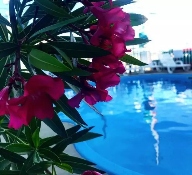 ホテル Sea Scape Inn