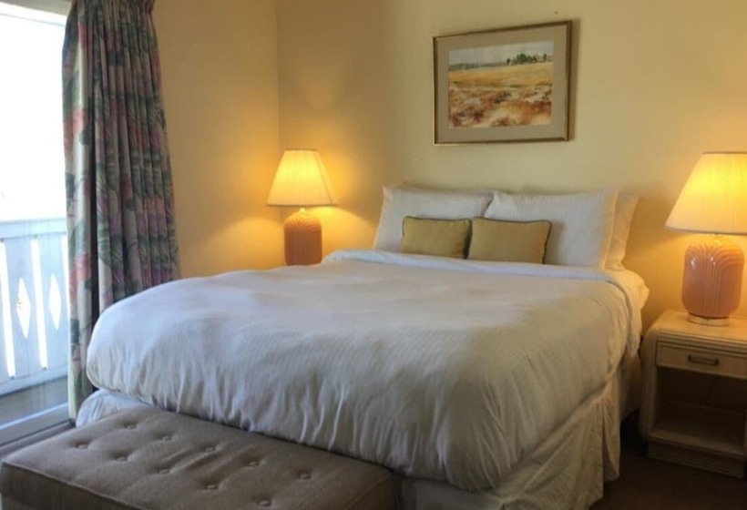 فندق The Beach Rose Inn