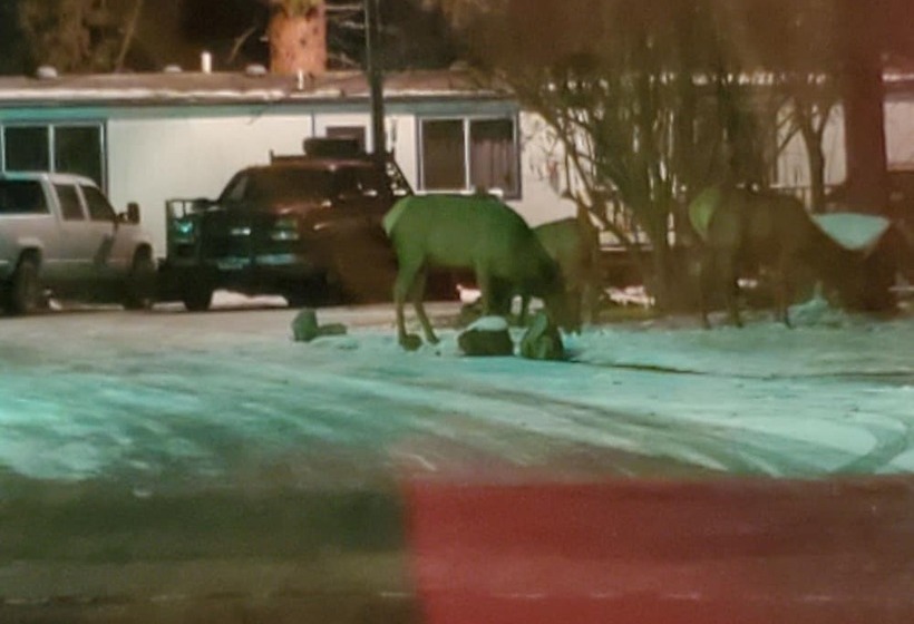 Little River Motel Saint Regis