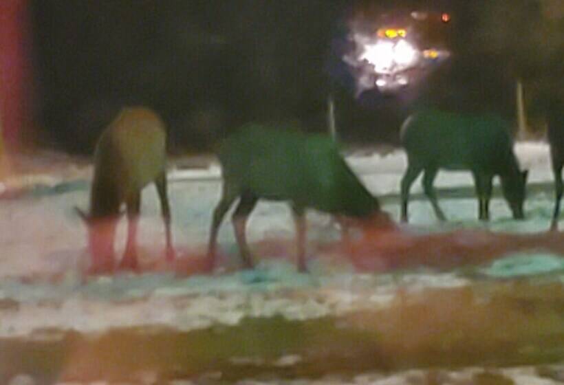 Little River Motel Saint Regis