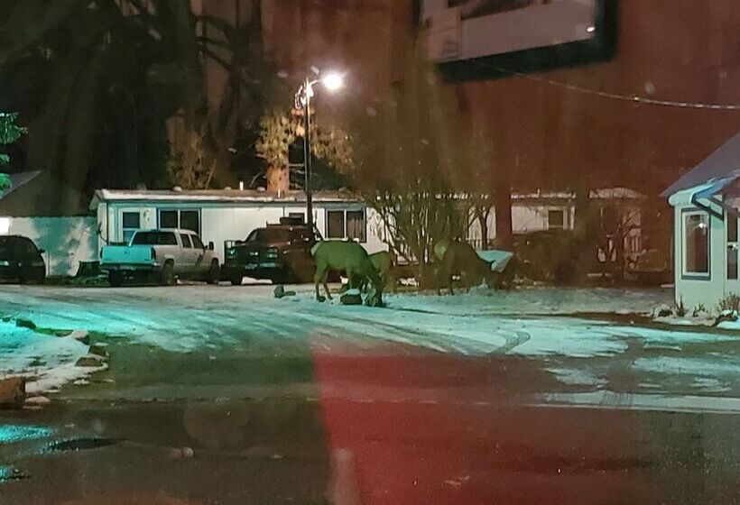 Little River Motel Saint Regis