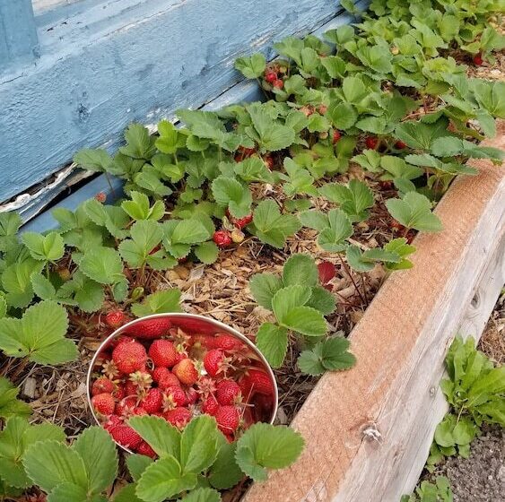 Little River Motel Saint Regis