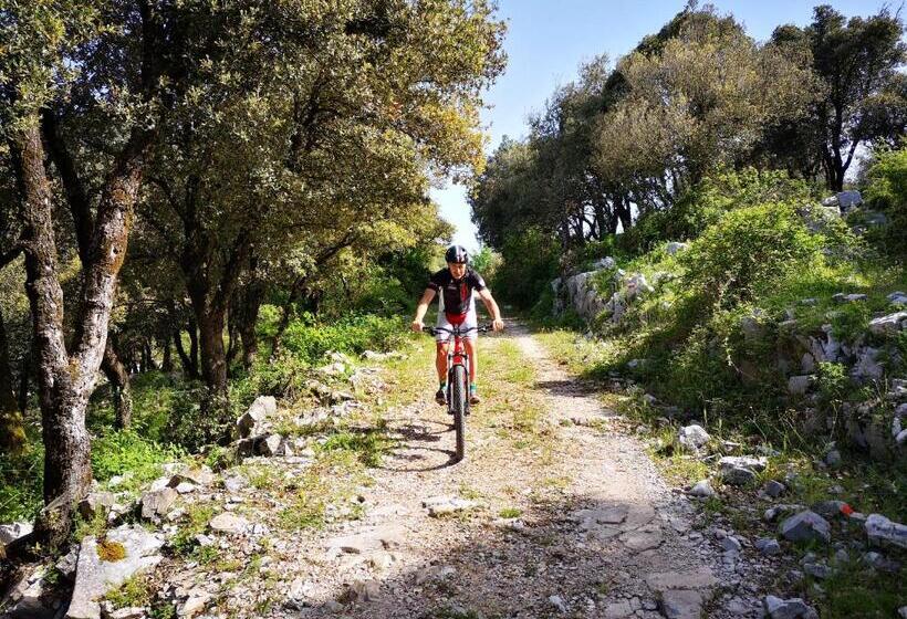 هاستل Rifugio Acquaviva