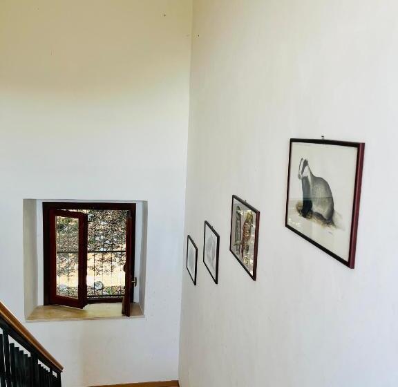 هاستل Rifugio Acquaviva