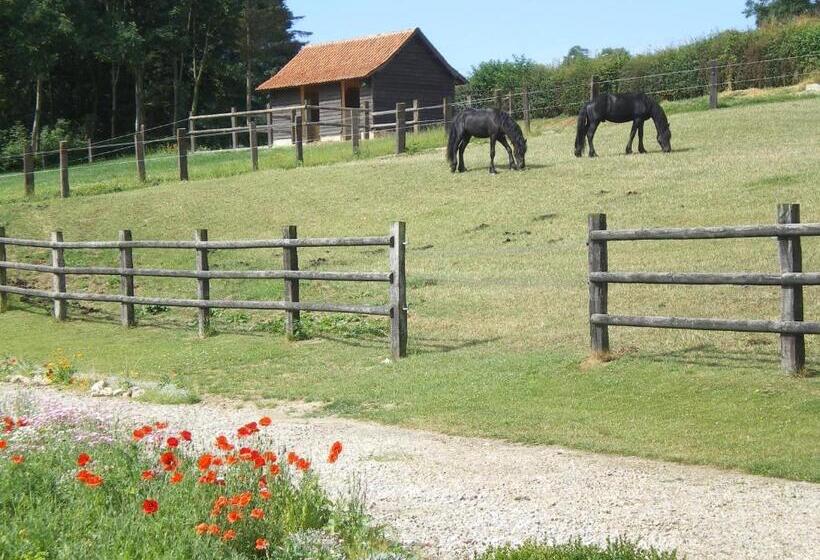 Bed and Breakfast Ferme Des Tilleuls