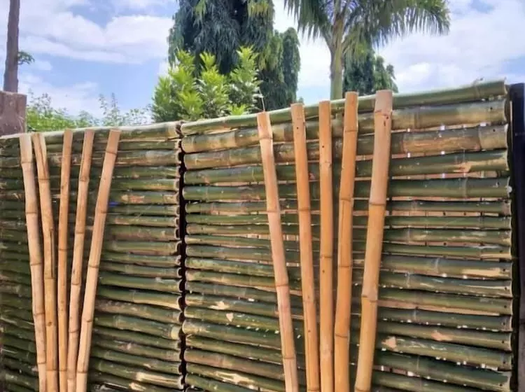 Aamiaismajoitus (B&B) Sprunger Avenue   Tulia Homes