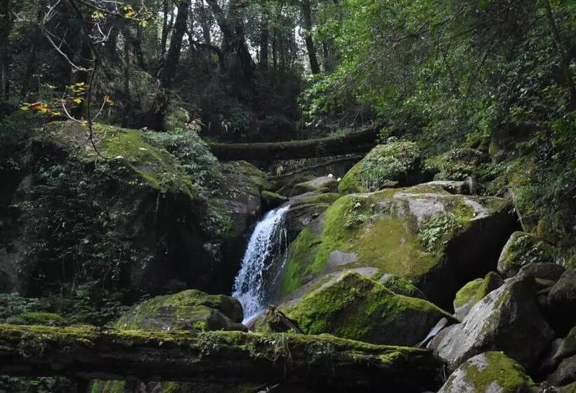 Chopta House Hotel And Restaurant