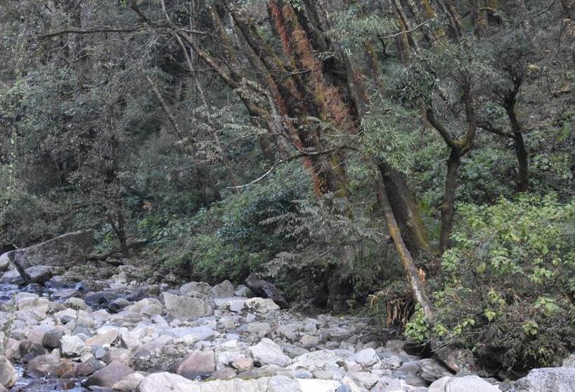 Chopta House Hotel And Restaurant