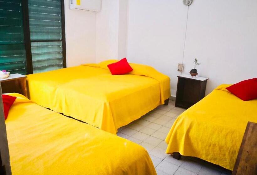 فندق Zócalo Abuelos