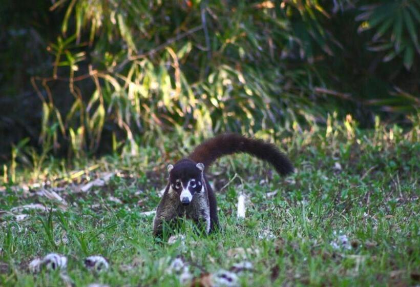 Il Padrino Corcovado Rooms