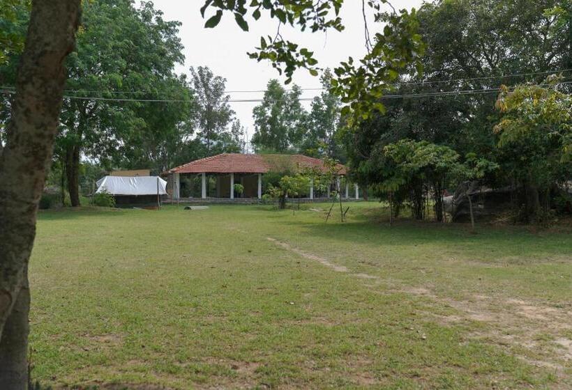 Pensão Rac Adventure Camp By Lexstays,near Isha Foundation