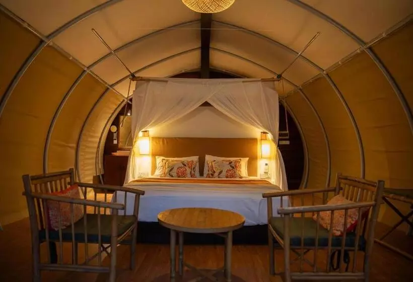 Aamiaismajoitus (B&B) Floating Jungloo