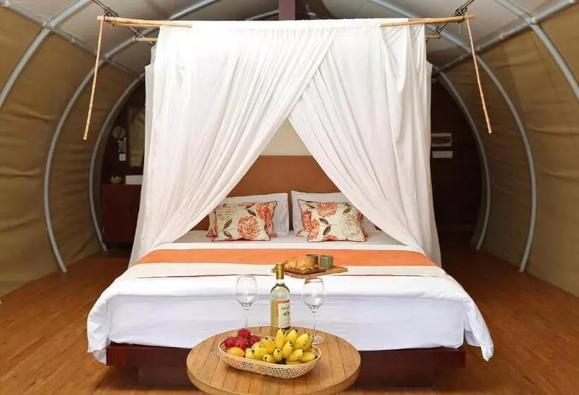 Aamiaismajoitus (B&B) Floating Jungloo