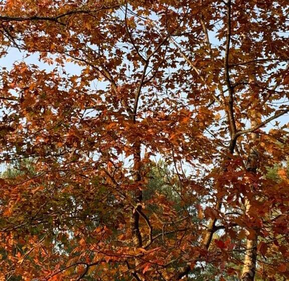 مبيت وإفطار Une Chambre Au Pré Des Fées