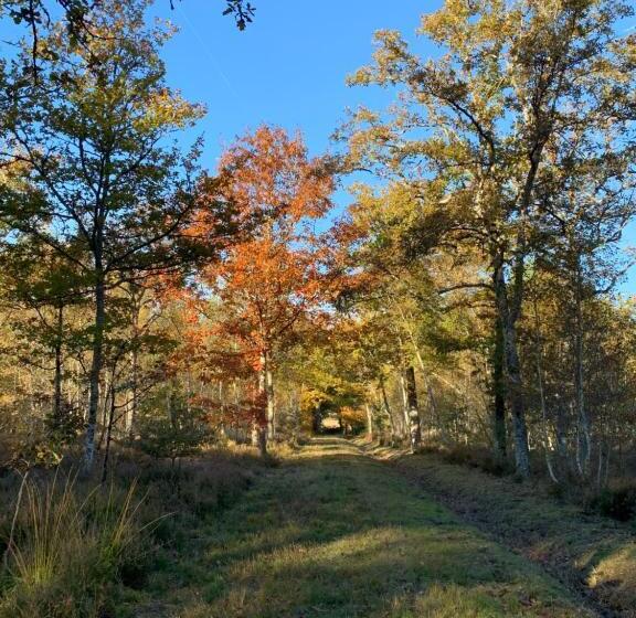 مبيت وإفطار Une Chambre Au Pré Des Fées