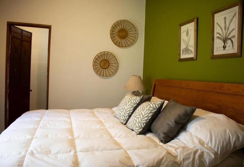 Отель Casas Mexico