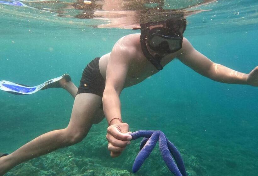 Пансион Bali Taoka Beach Villa