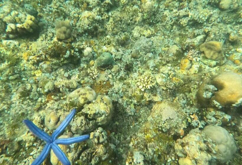 Пансион Bali Taoka Beach Villa