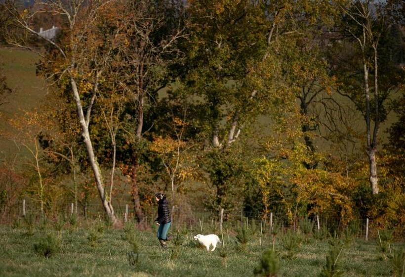 膳宿费 Escons Domaine De Charme