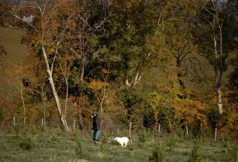 Majatalo Escons Domaine De Charme