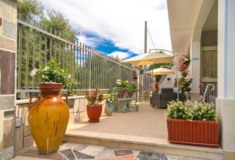 住宿加早餐  Villa Milla