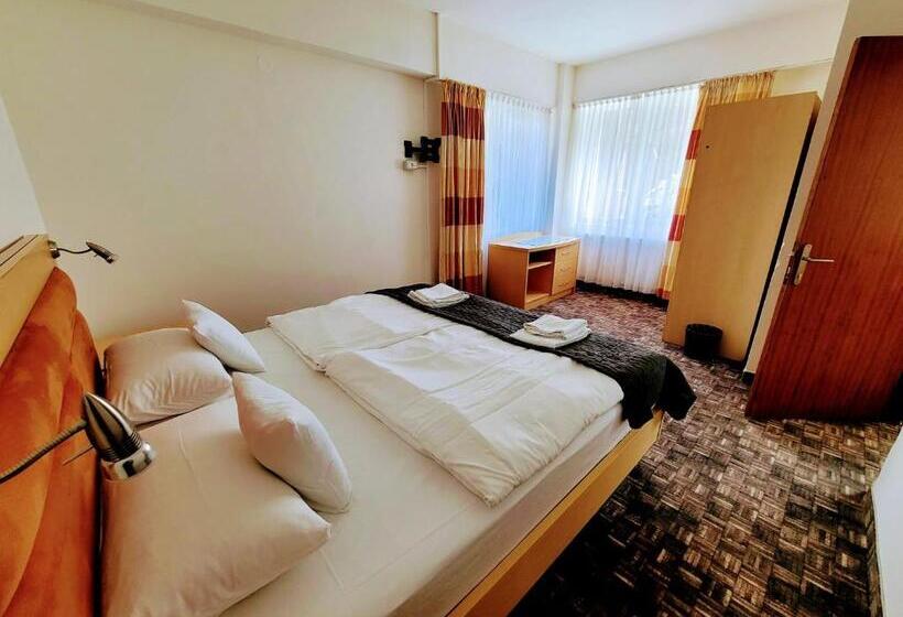 ホテル Alpina Retezat