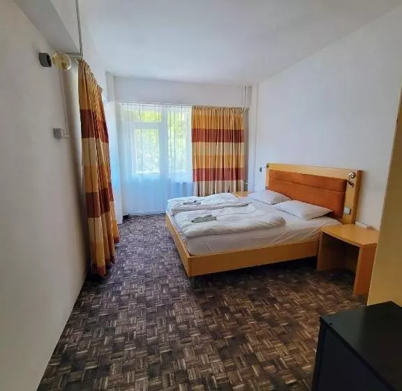 Hotelli Alpina Retezat