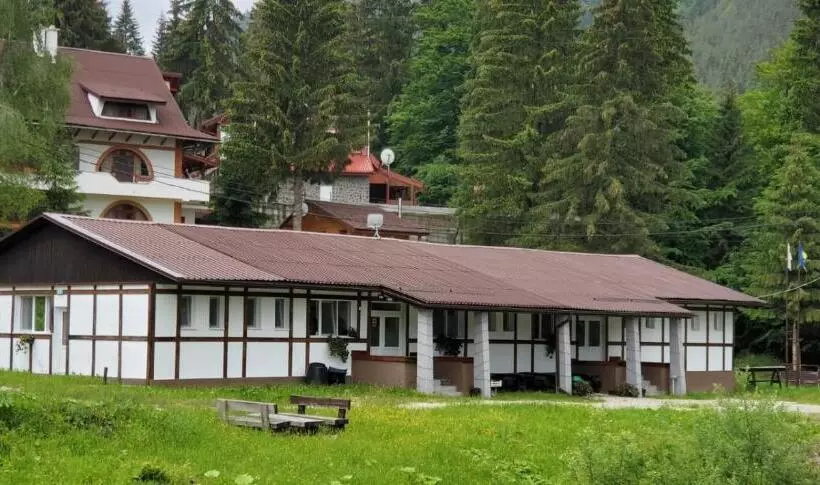 Hotelli Alpina Retezat