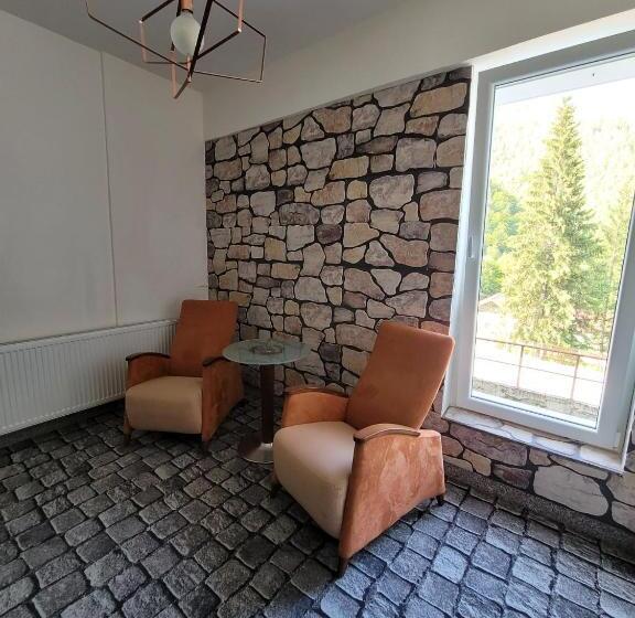 ホテル Alpina Retezat