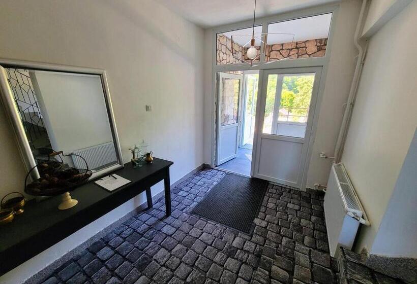 ホテル Alpina Retezat