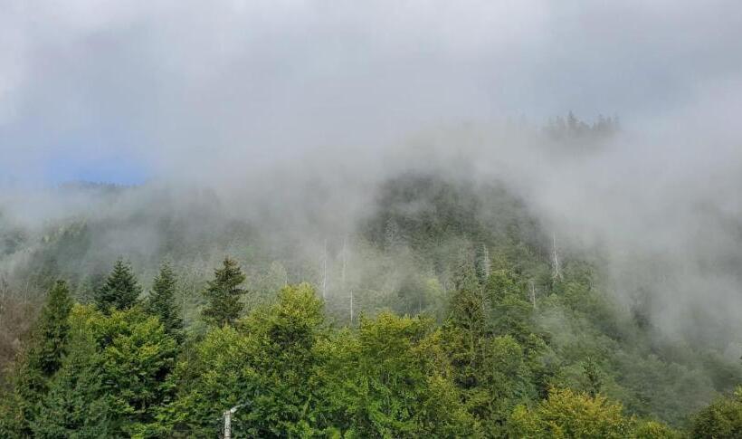 ホテル Alpina Retezat