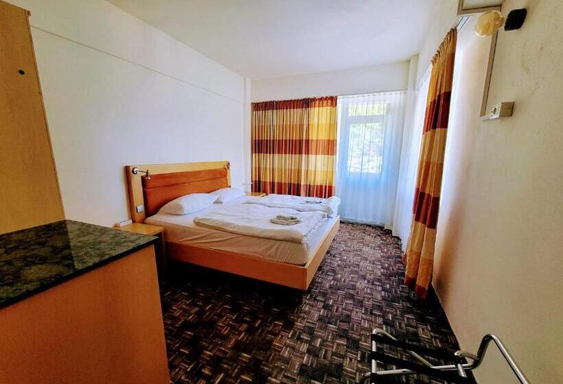 ホテル Alpina Retezat