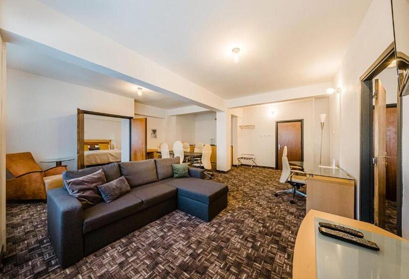 ホテル Alpina Retezat