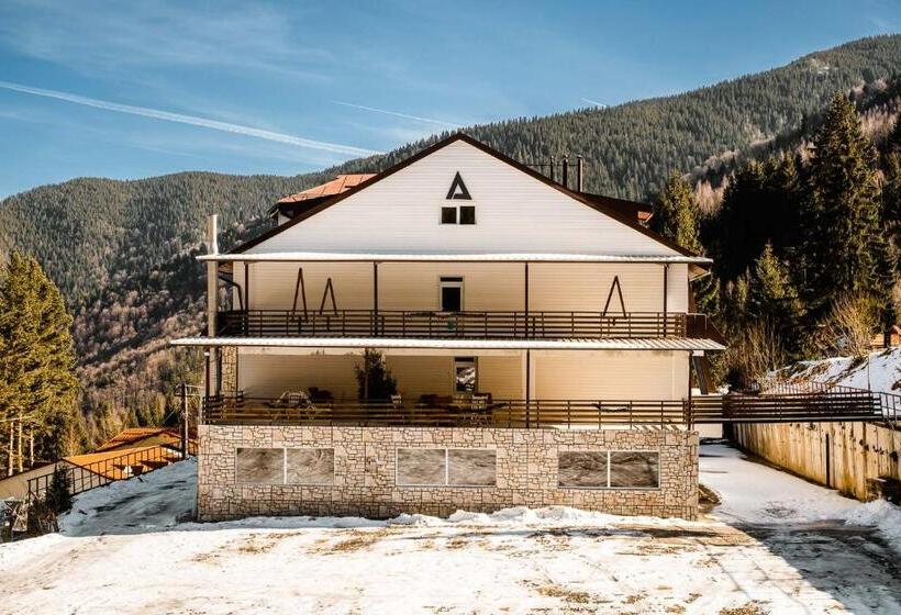 ホテル Alpina Retezat