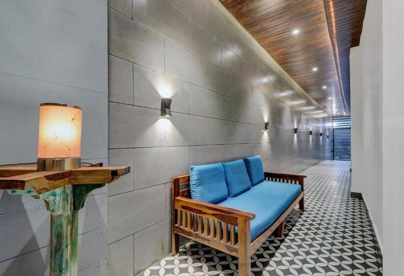 Hotel Collection O Mount N Woods