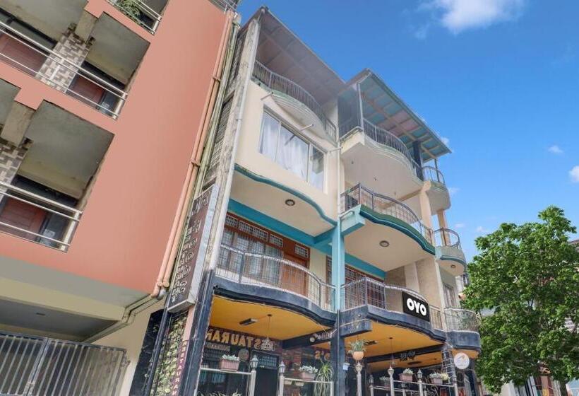 Hotel Collection O Mount N Woods