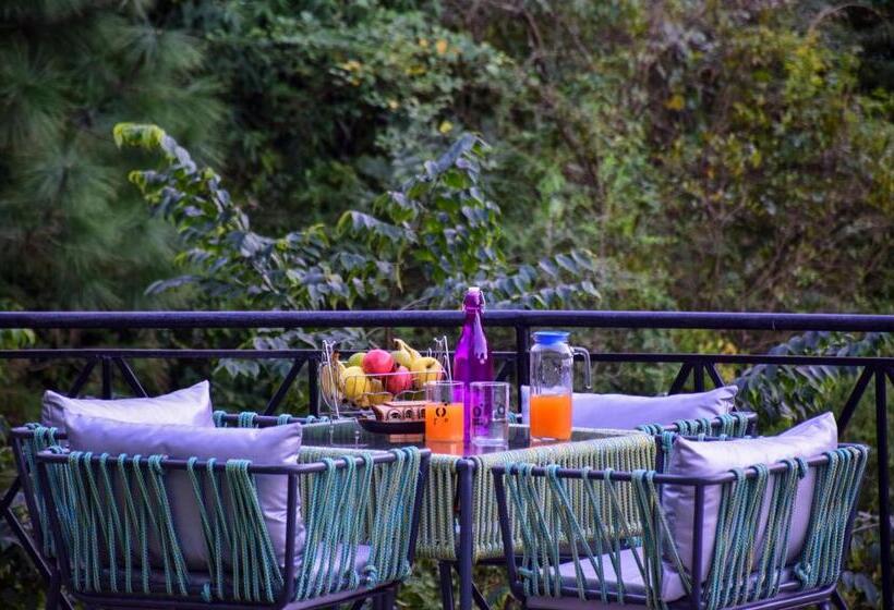 בית מלון כפרי The Kasauli Walk