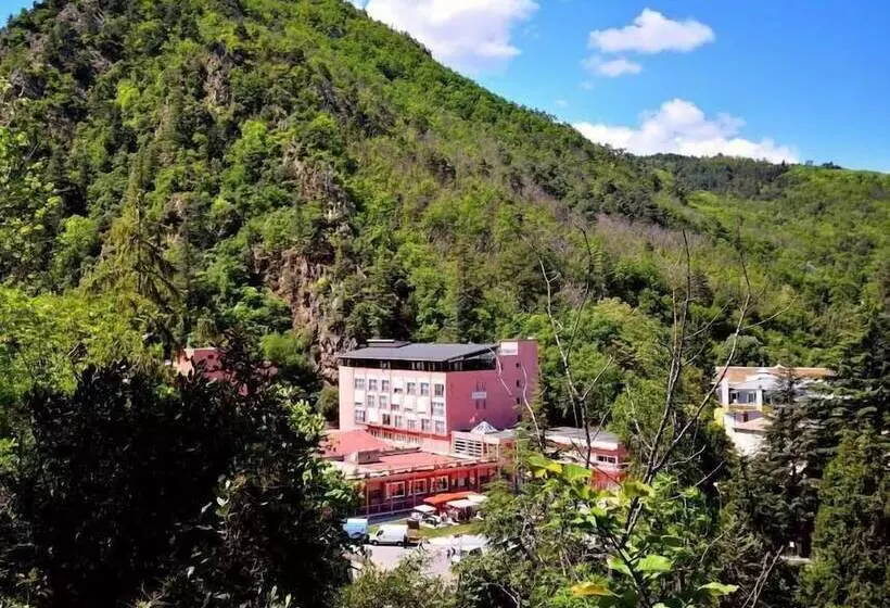 ホテル Hôtel Les Sources