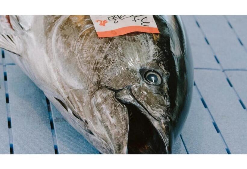 בית מלון כפרי Pulse Inn Katsuura   Vacation Stay 44377v